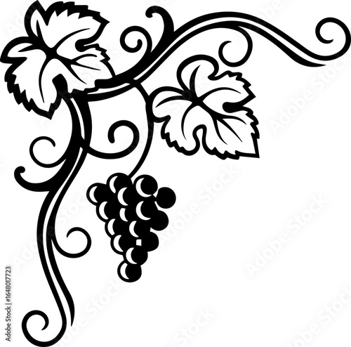 SVG vector illustration of grapevine style.Elegant Black and White Grapevine with Leaves and Swirls