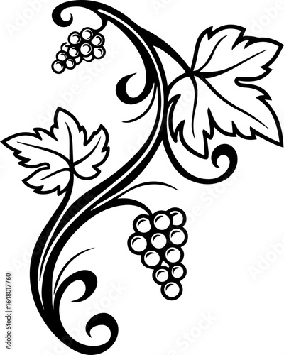 SVG vector illustration of grapevine style.Elegant Vintage Vine with Grapes and Foliage Design