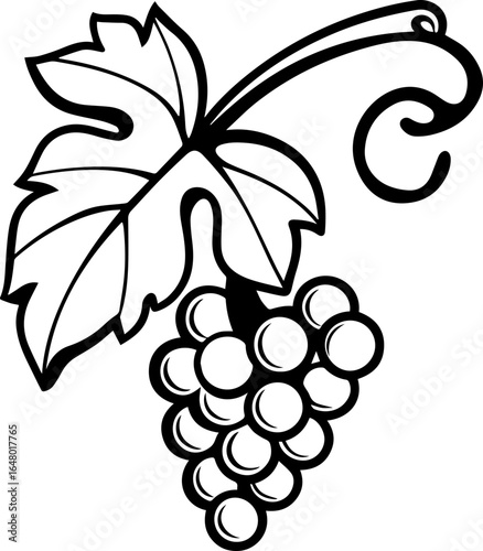SVG vector illustration of grapevine style.Elegant Vine Leaf and Grapes Outline Design for Illustration