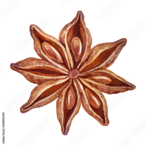 Watercolor illustration of star anise spice in brown tones, isolated on white background, aromatic seasoning for cooking and Christmas baking, decorative element for festive design.