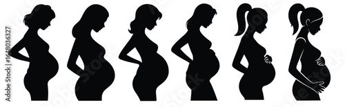 Pregnancy Stages Silhouettes Vector Set - Woman Body Changes Throughout Nine Months Maternity Journey