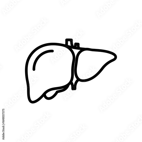 Simple line drawing of a human liver, isolated on a white background, representing anatomy and health