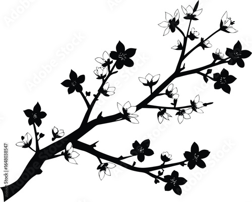 Cherry Blossom Branch Silhouette | Sakura Cherry Tree Bloom Silhouette