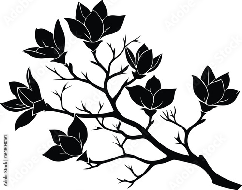 Magnolia Tree Branch Silhouette | Magnolia Blossom Branch Silhouette