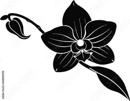 Orchid On Branch Silhouette | Exotic Orchid Flowers Silhouette