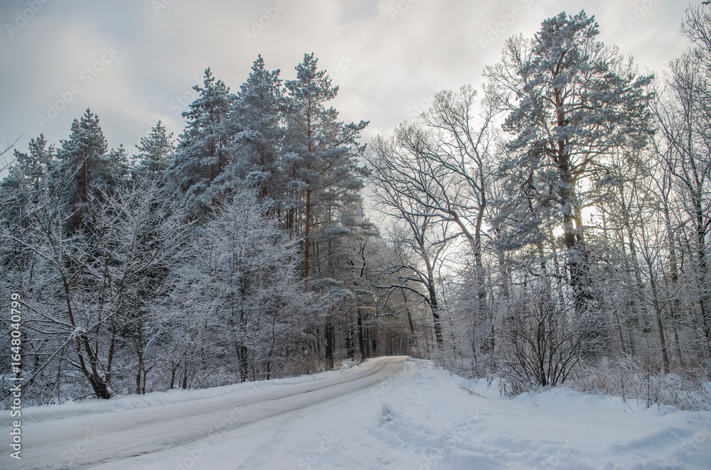 Fototapeta premium Winter Road Through Snow-Covered Trees