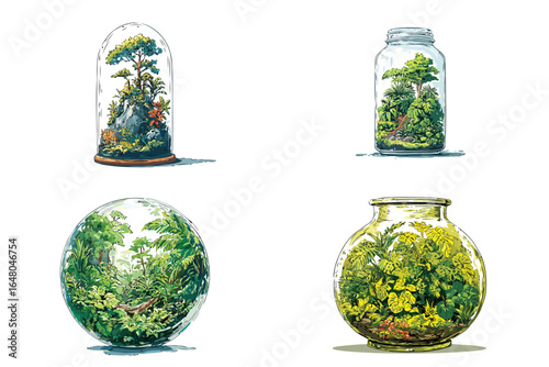 Rainforest Hidden Inside a Giant Glass Terrarium isolated