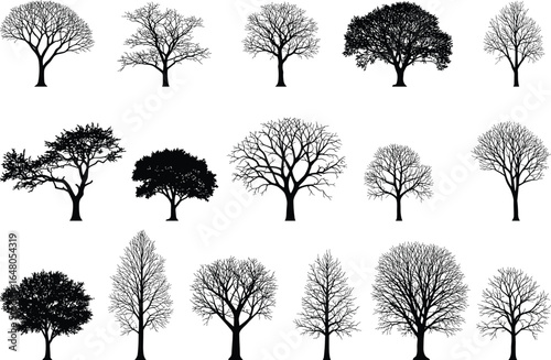 Collection of fifteen black tree silhouettes, various shapes and styles, including bare trees and full foliage, vector illustration isolated on white background