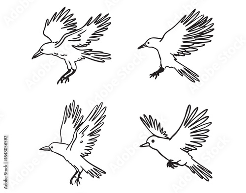 Flying birds and ravens in profile, approaching, monochrome line art hand drawn style