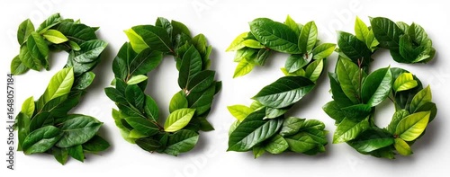 Arranged Fresh Lush Green Leaves Forming Happy New Year 2026 on a White Background environmental and eco friendly design video