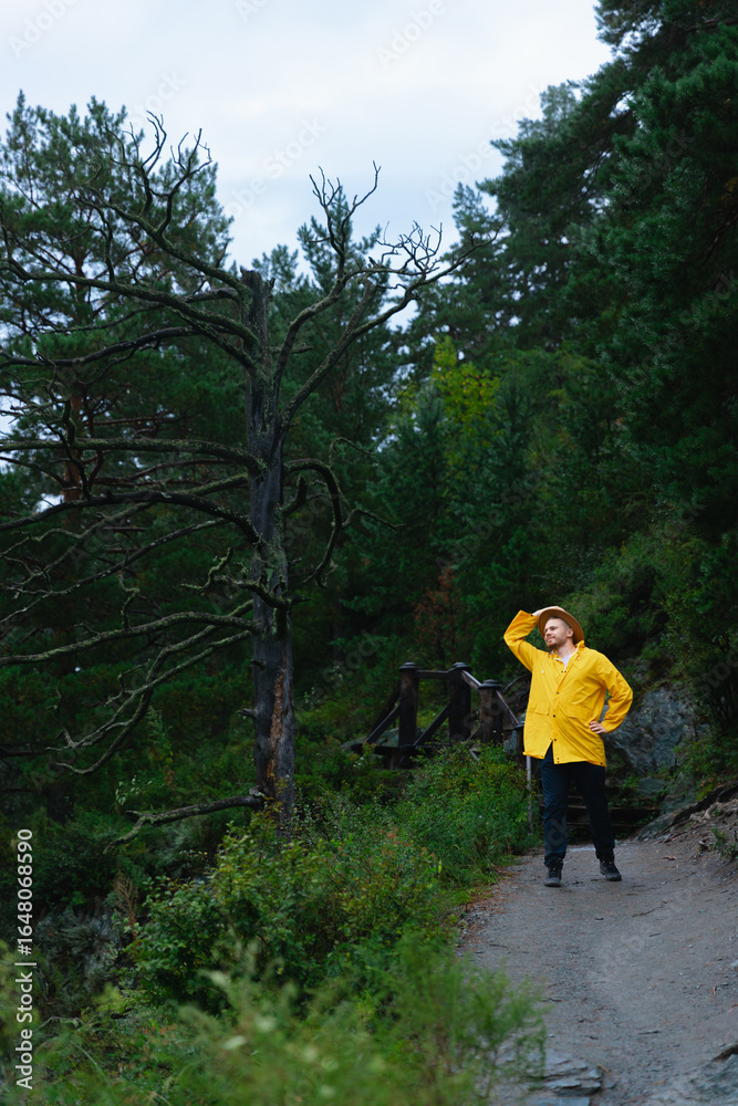 Fototapeta premium Caucasian mature man in yellow jacket enjoying nature on forest path Altay Russia