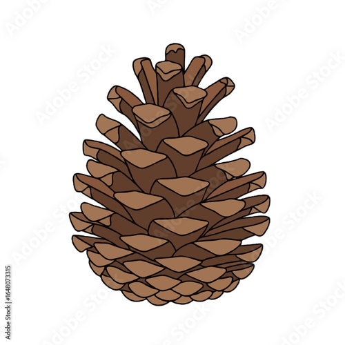 Pine Cone Design
