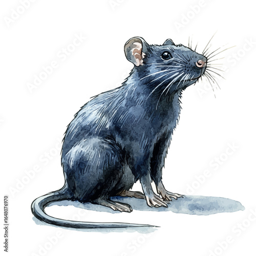 watercolor of Rat, vector, isolated on a white background.