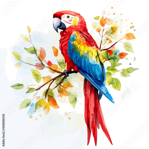 watercolor of Parrot, vector, isolated on a white background.