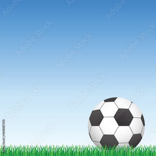 A soccer ball rests in lush green grass against a gradient blue sky. The scene captures a bright, open outdoor setting with a focus on the sport. Ideal for sport or recreation.
