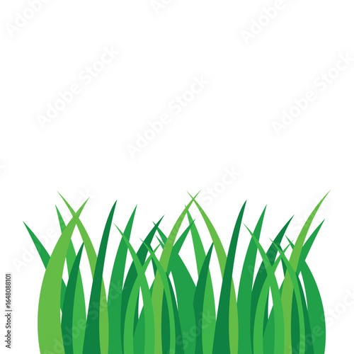 A vector illustration features a collection of stylized green grass blades. The grass is a vibrant green color, and the background is a crisp white, providing a clean backdrop.