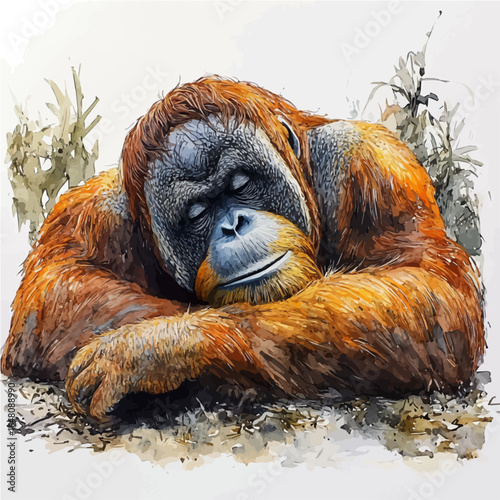 Orangutan, watercolor painting vector, isolated on a white background.