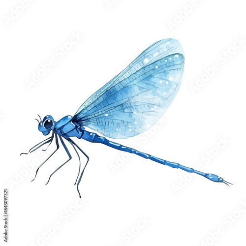 Mayfly, watercolor drawing vector, isolated on a white background.