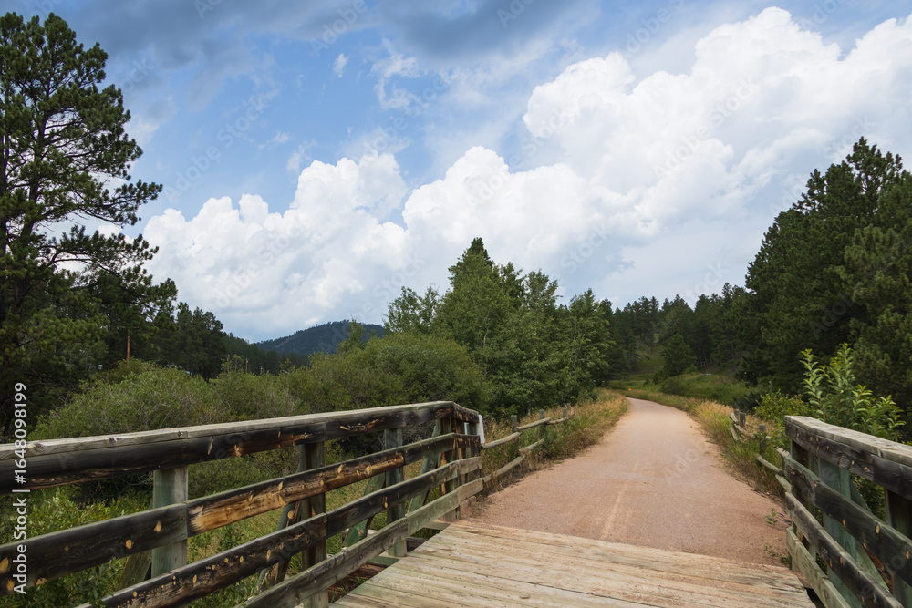 Fototapeta premium Bridge on the George S. Mickelson trail, South Dakota