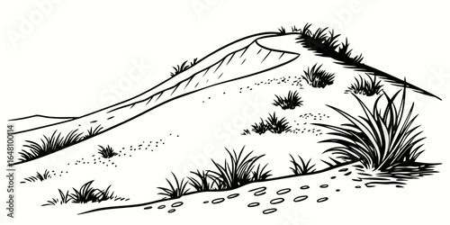 Illustration of a sand dune with grass and small plants in a black and white landscape drawing created with generated ai