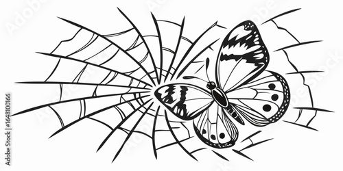 Butterfly caught in a spiderweb with intricate wing patterns and web design in black and white style created with generated ai