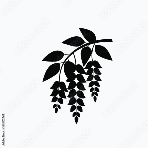 Wisteria flower silhouette  icon on white background