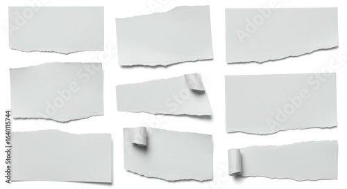 Free Download Torn white paper fragments with natural ripped edges on light gray background perfect for scrapbook and design elements - GFXLoad