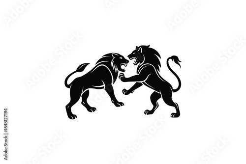 Two lions fighting face to face in a fierce stance silhouette