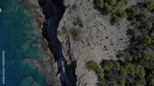 Aerial view of rocky coastline with trees by the Mediterranean Sea