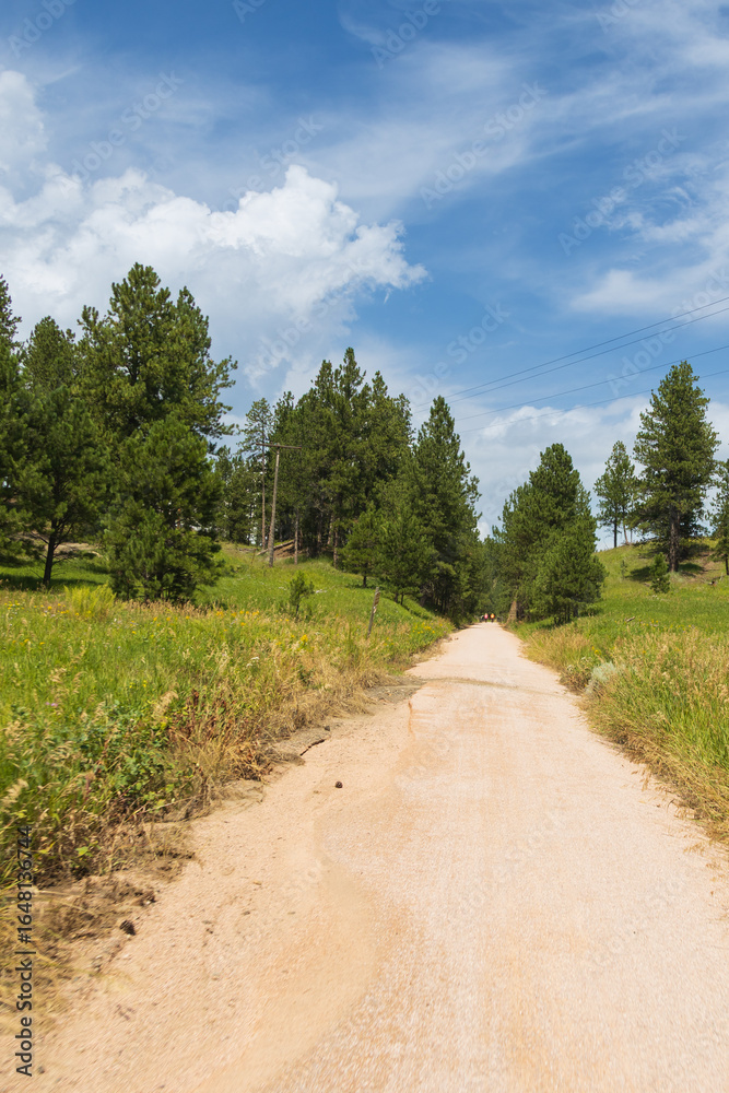 Obraz premium The George S. Mickelson Trail, South Dakota 