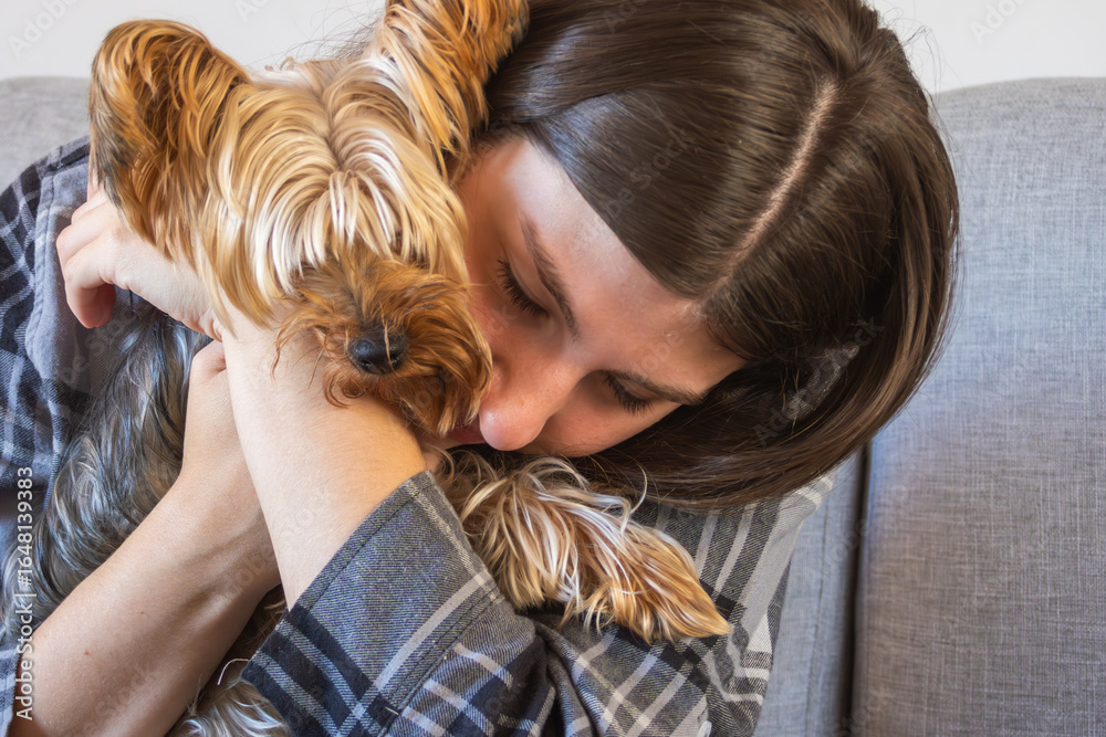 Fototapeta premium Teenager hugging her Yorkie on the living room sofa. Neutral interior tones. Pet care concept.Tender moments between owner and dog at home