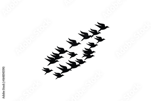 a flock of birds flying in formation against a white background silhouette