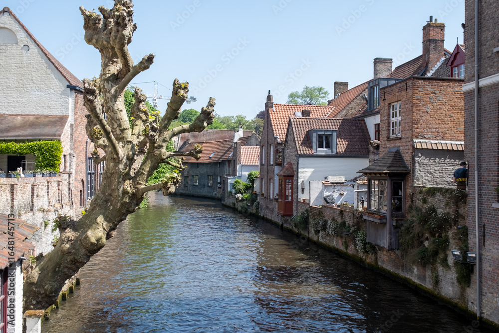 Obraz premium Views of canals, briges and old facades of medieval buildings in Bruges, Flanders, Belgium, travel destination