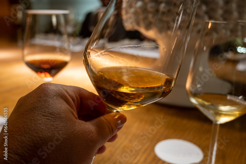 Slika na platnu Visit of wine cellar with old large oak barrels, tasting of fortified dry or swe