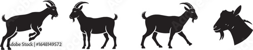 got Silhouette – Pet, Animal, Canine Icon