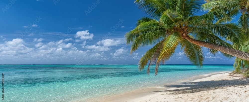 Obraz premium The Palm Tree Lined Tropical Beach with Turquoise Water and White Sand