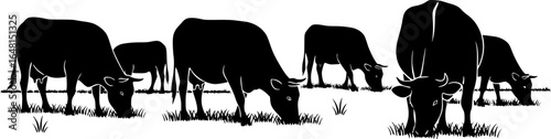 Black Silhouette Cows Grazing in Grass, Farm Animal Vector Illustration