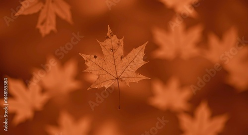 Autumn leaves floating in warm orange background