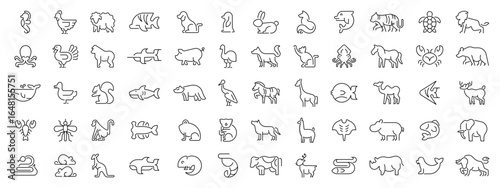 Animals  linear shapes collection. Animals icons in line style. Animals linear icons set. Outline icons related to animals and pets.