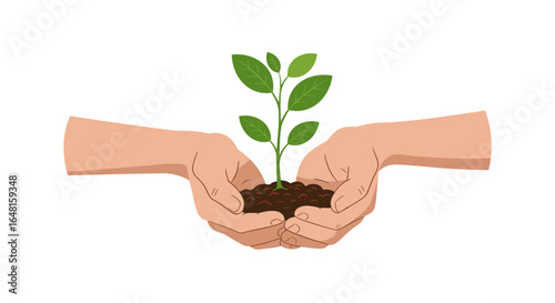 Hands holding a small plant growing from soil illustration