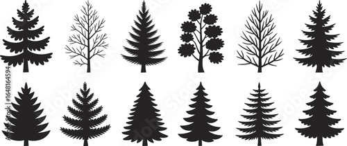 Coniferous and deciduous tree silhouette vector collection, evergreen and bare trees set, forest plant icons for landscape design, nature illustration elements