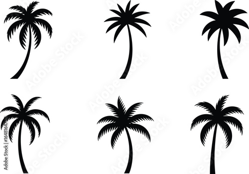 Palm tree silhouette vector set, tropical tree icons, coconut palm illustration collection, black palm shapes for beach, summer, vacation design elements