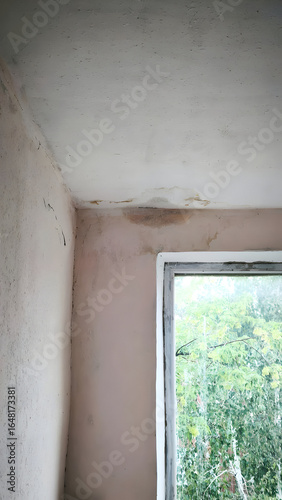 A room with bare walls and a window to a green yard