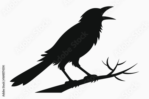Crow Silhouette on Branch