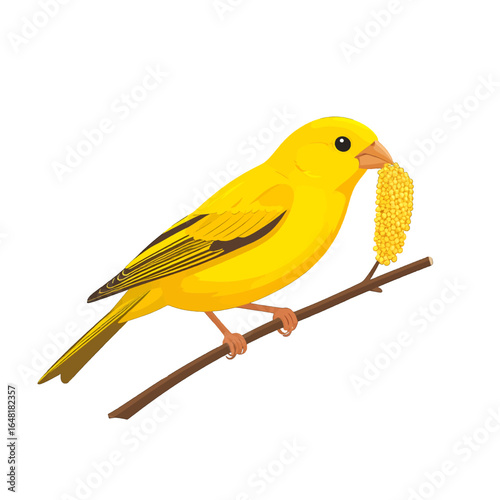 Bright Yellow Canary Bird Perched on Branch Eating Seeds