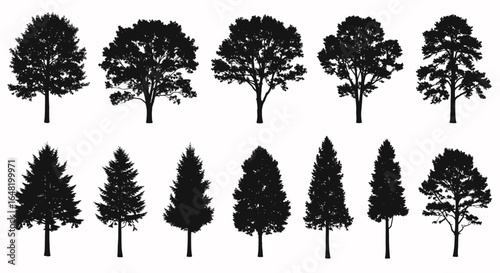 Silhouette illustration of various types of trees including deciduous and coniferous trees in a row