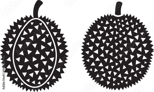 Durian Illustration: Vector image of the tropical fruit durian with its distinctive spiky exterior.