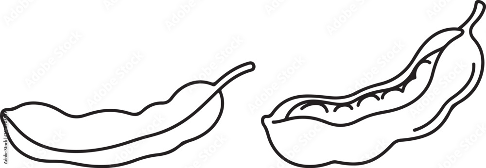 Obraz premium Illustration of two open pods with beans inside, black outline on white background