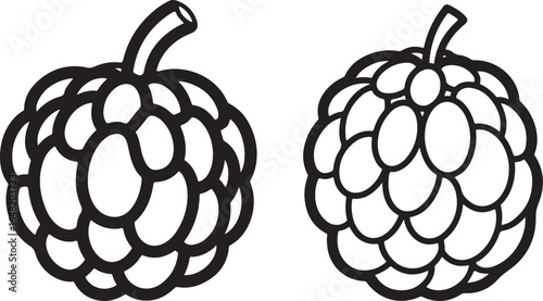 Sugar apple vector illustration with black outlines on white background.