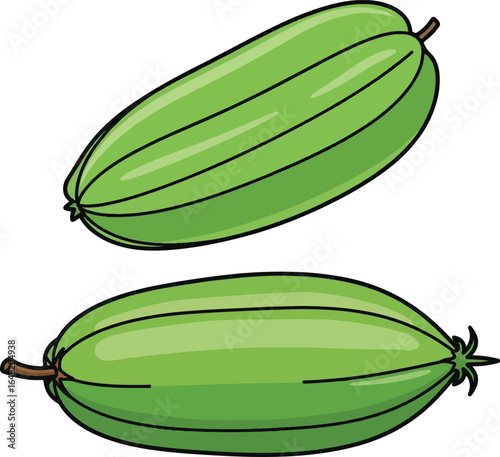 Illustration of two green pointed gourd, a tropical vegetable, on a white background